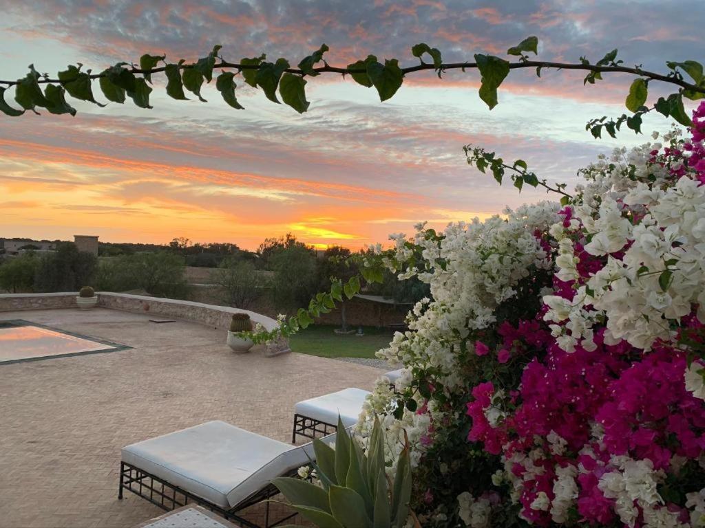 Les Jardins De Mogador Yoga Et Spa Essaouira Exterior foto