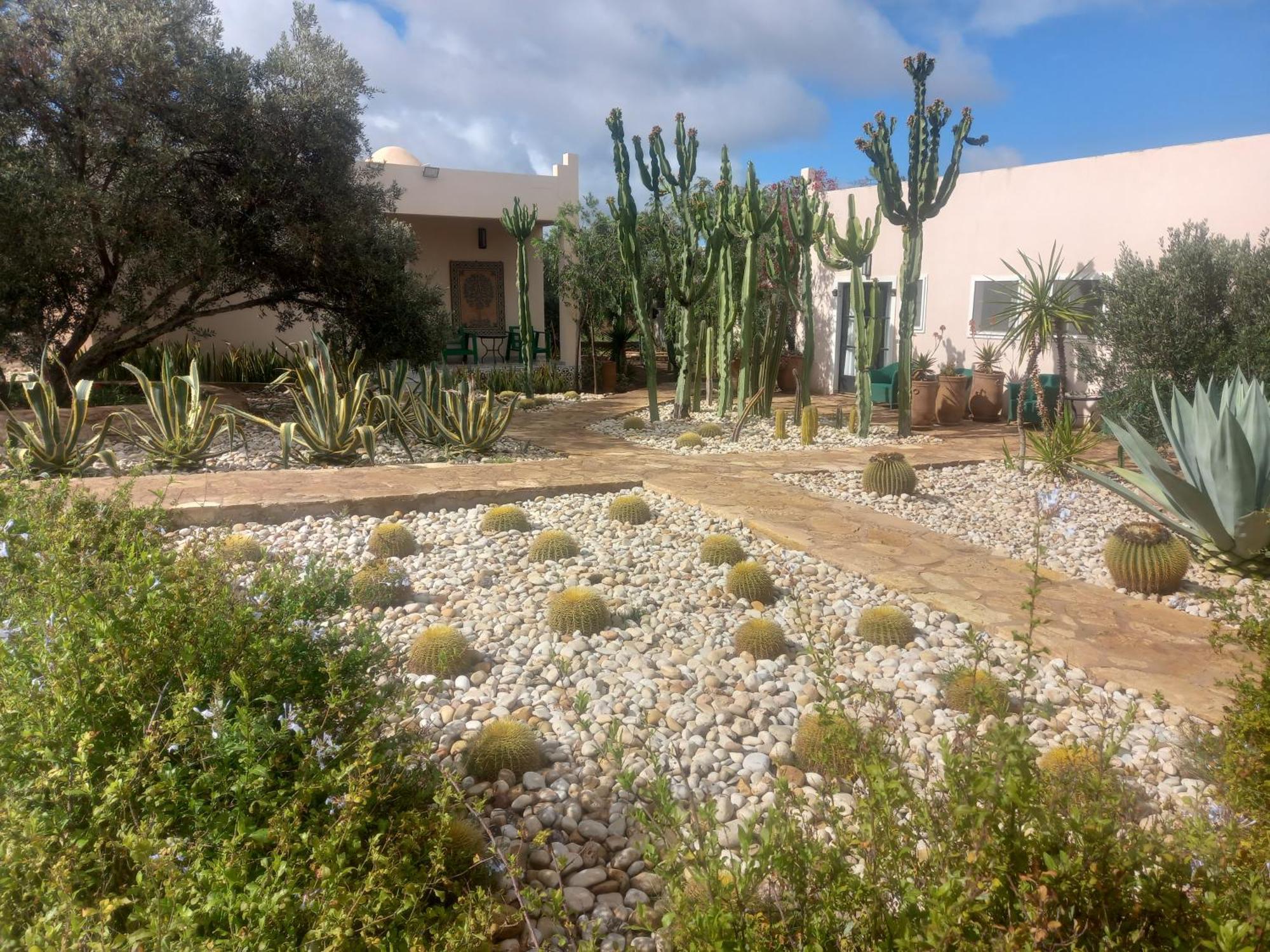 Les Jardins De Mogador Yoga Et Spa Essaouira Exterior foto